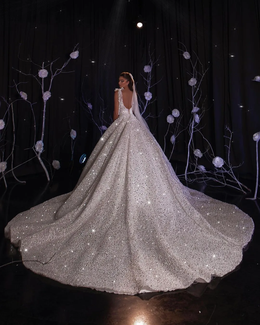 Carleigh Elegant  Wedding Dress