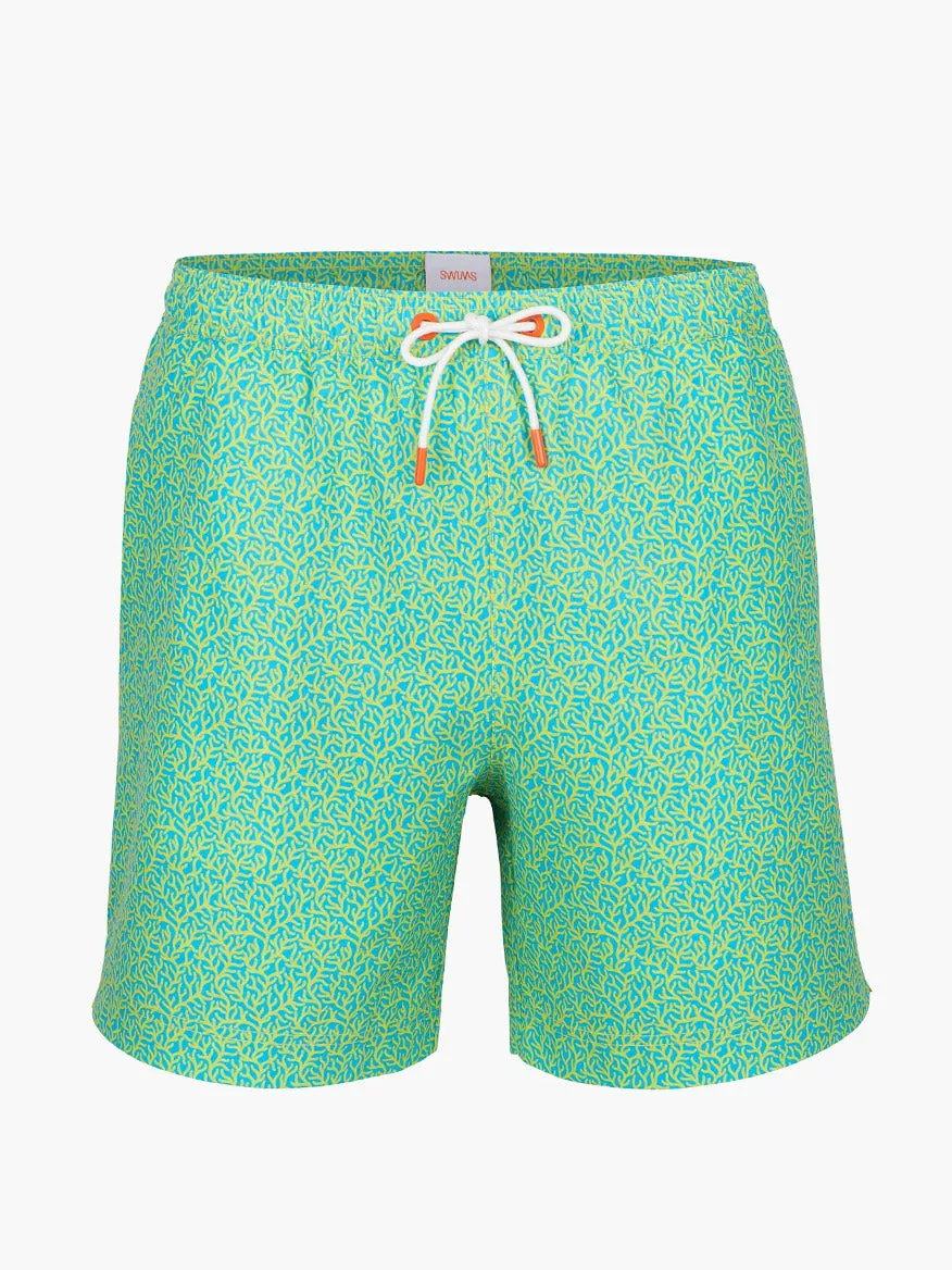 Swims Sol Swim Trunk in Citron