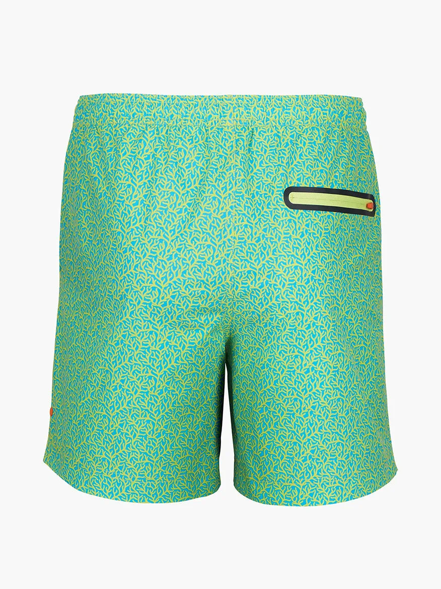 Swims Sol Swim Trunk in Citron